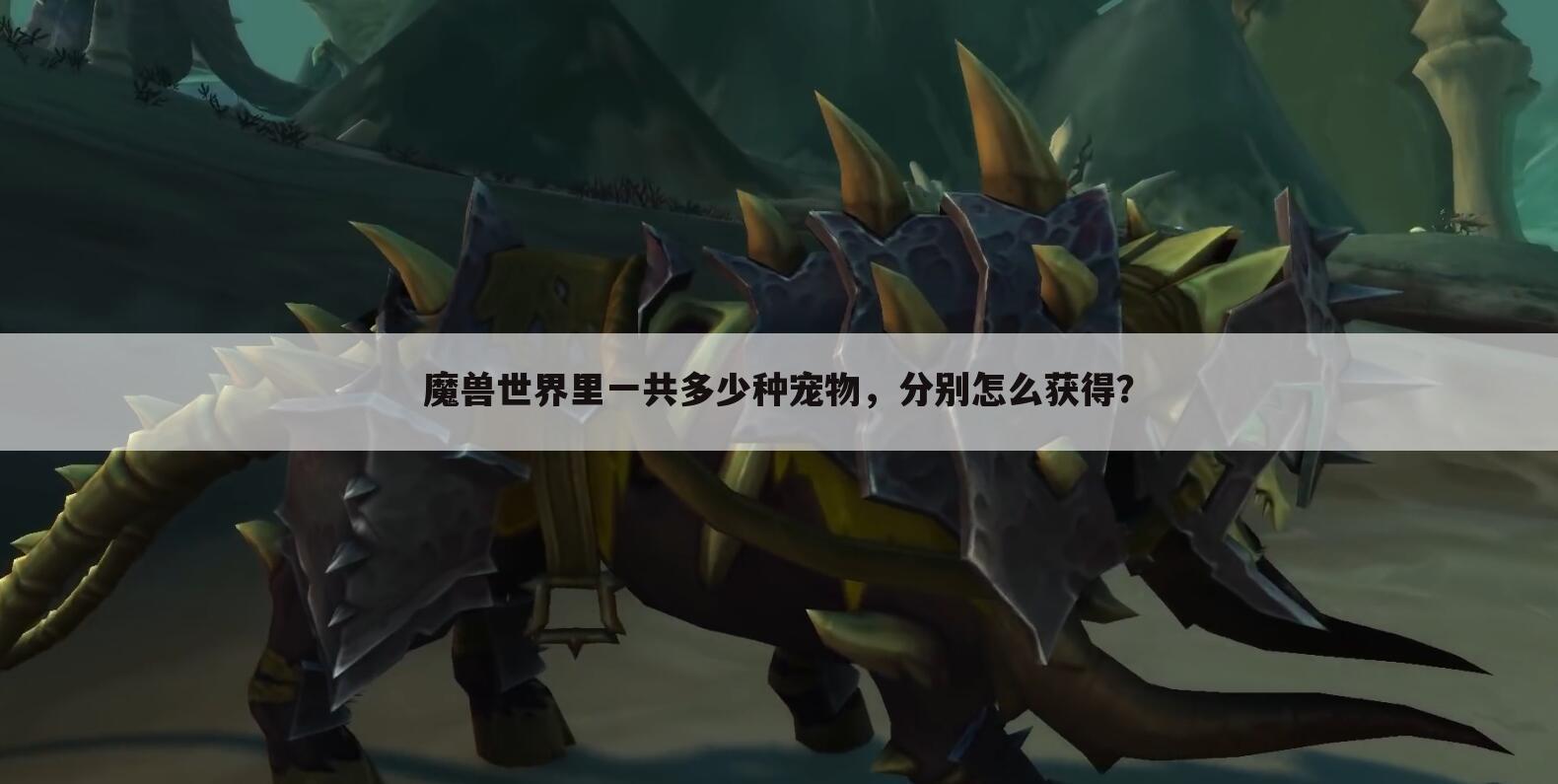 魔兽世界里一共多少种宠物，分别怎么获得？