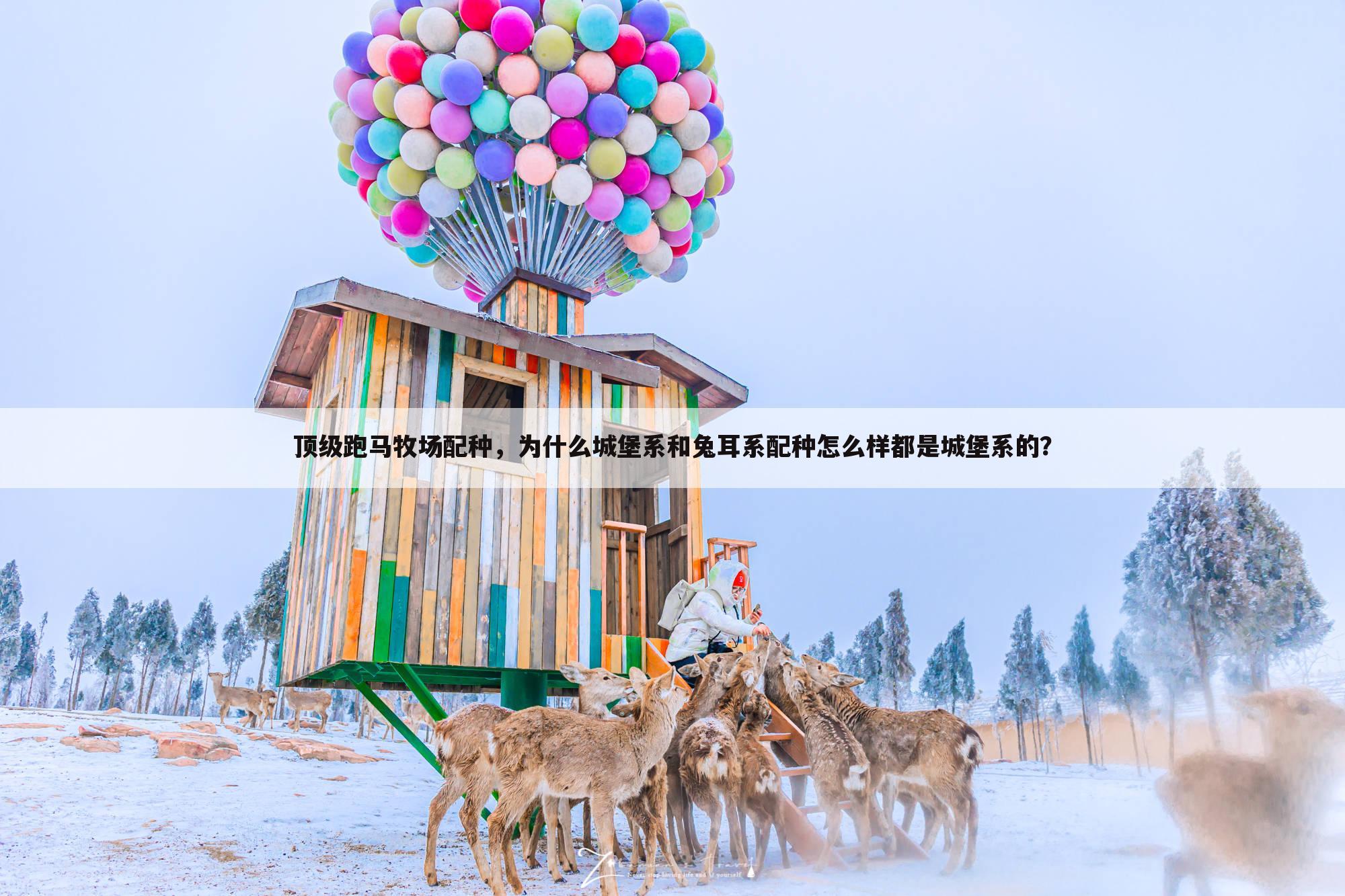 顶级跑马牧场配种,为什么城堡系和兔耳系配种怎么样都是城堡系的?