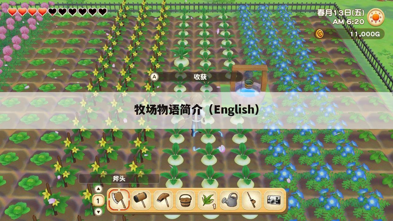 牧场物语简介(English)