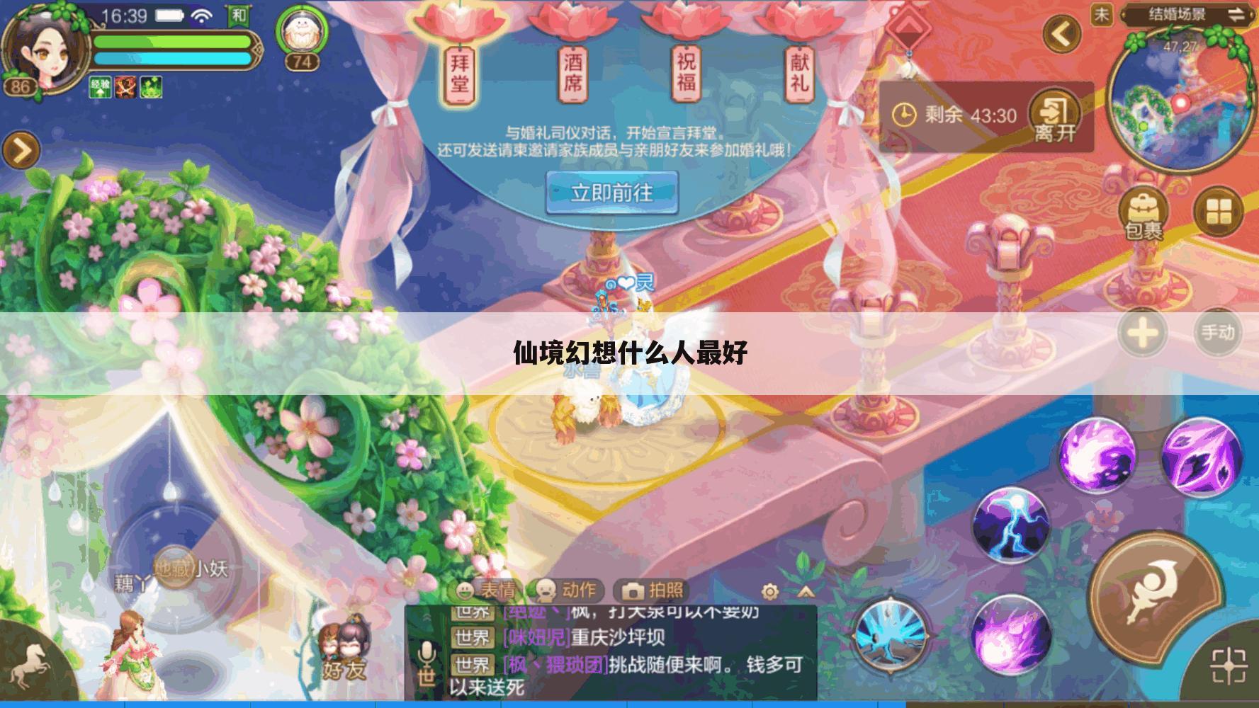 仙境幻想什么人最好