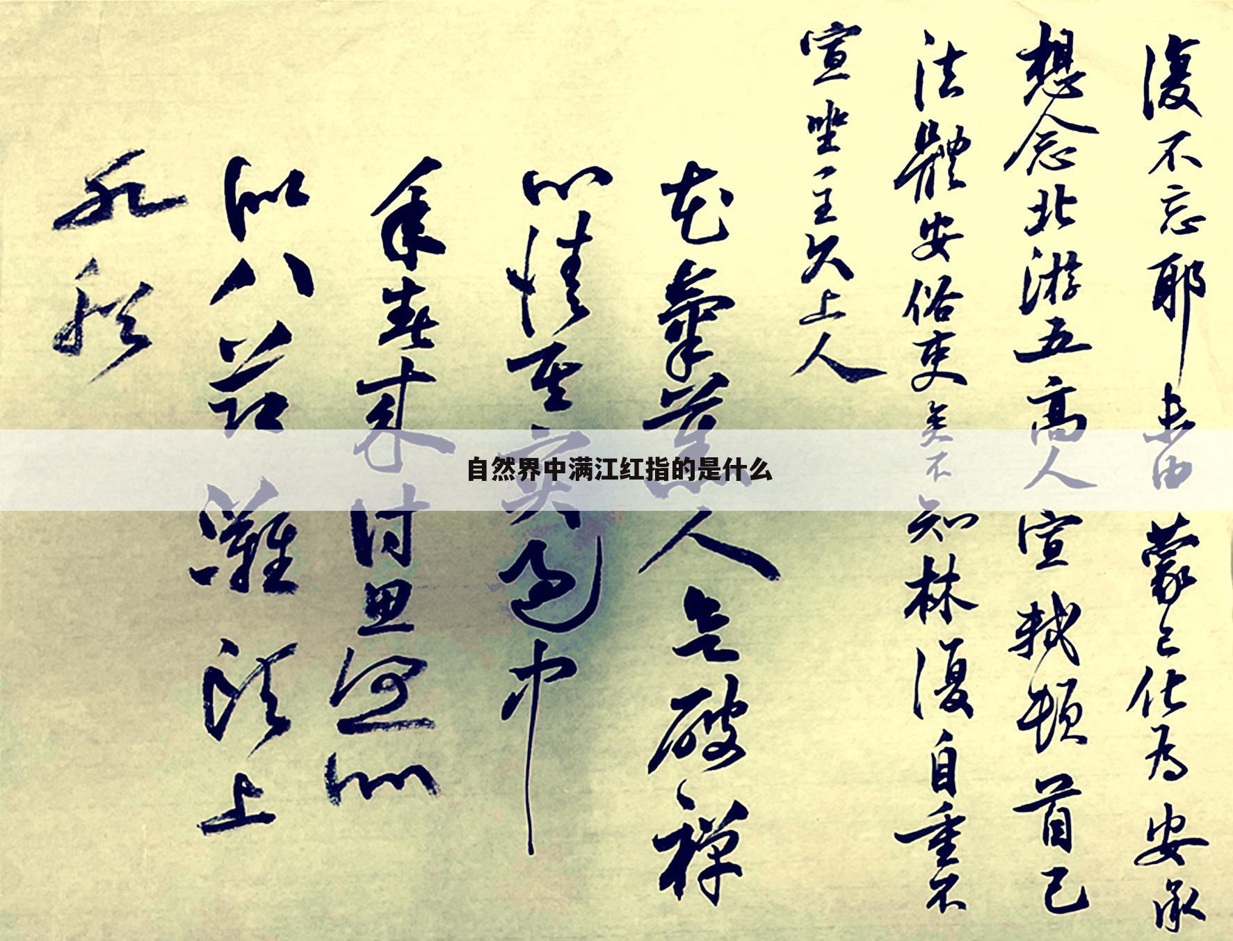 自然界中满江红指的是什么
