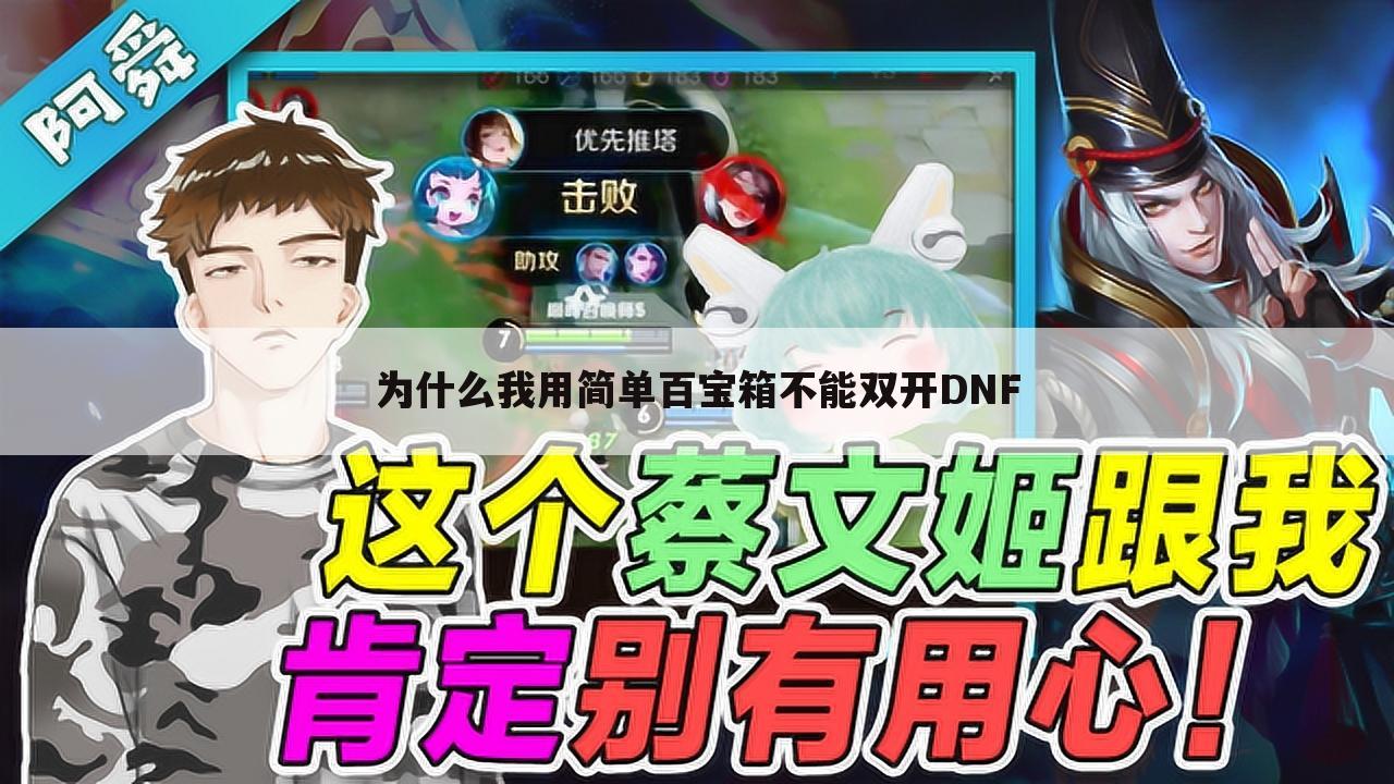 为什么我用简单百宝箱不能双开DNF