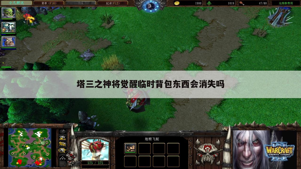 塔三之神将觉醒临时背包东西会消失吗