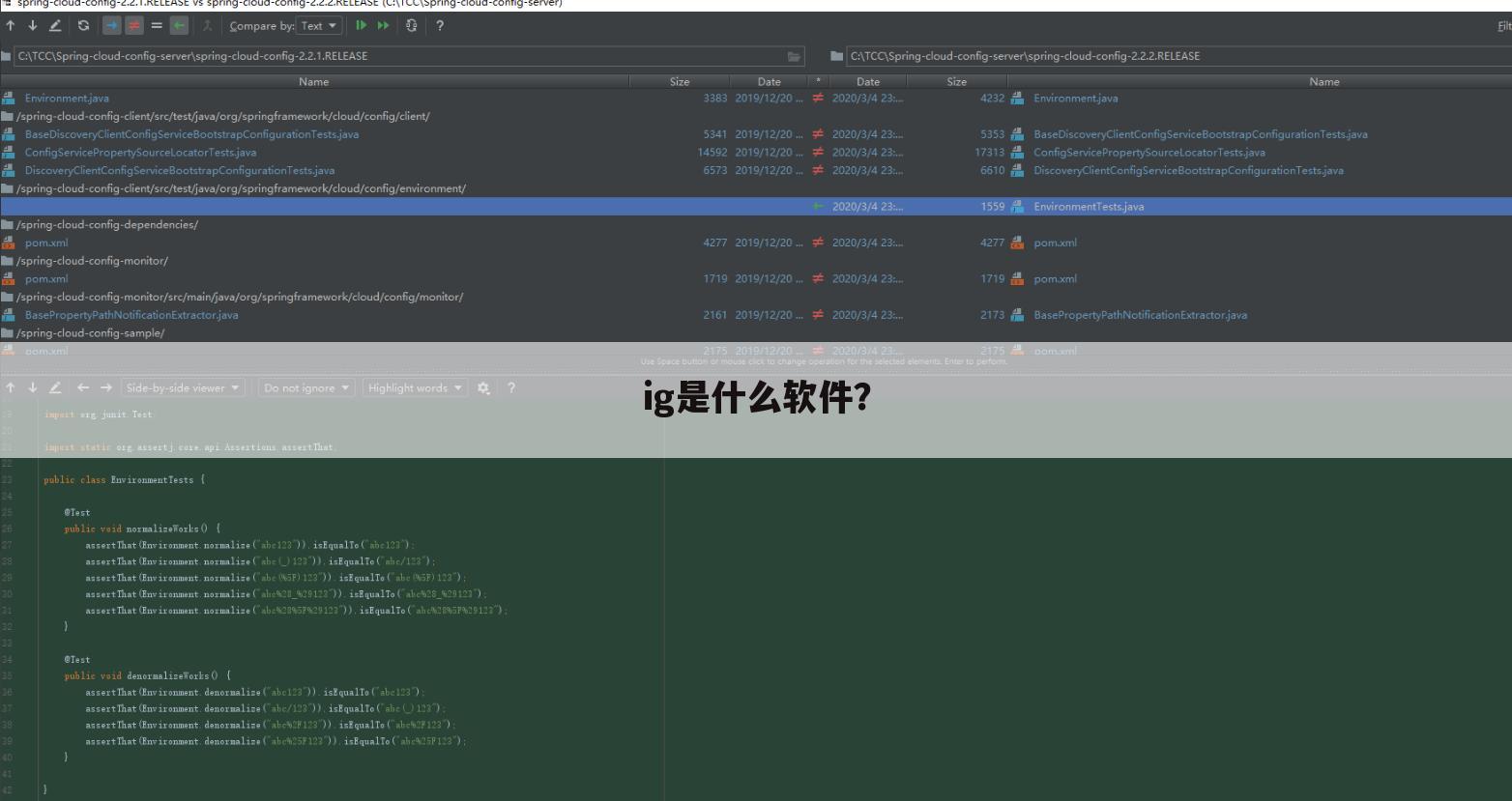 ig是什么软件?