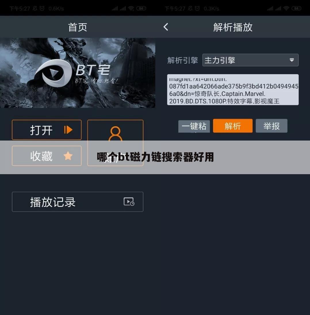 哪个bt磁力链搜索器好用