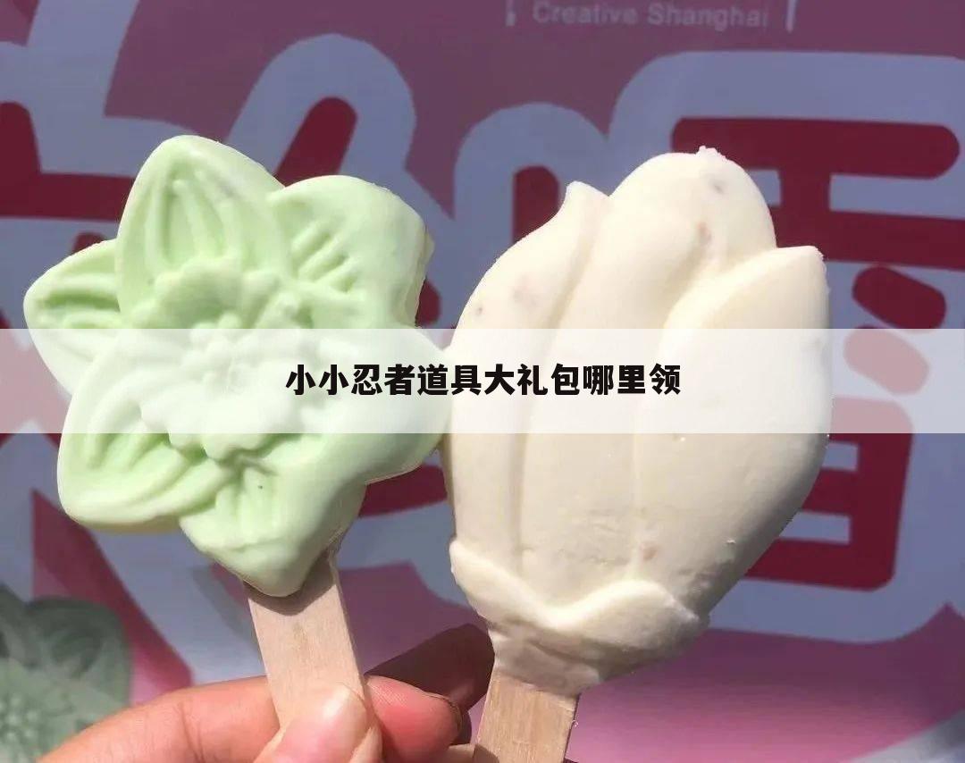 小小忍者道具大礼包哪里领