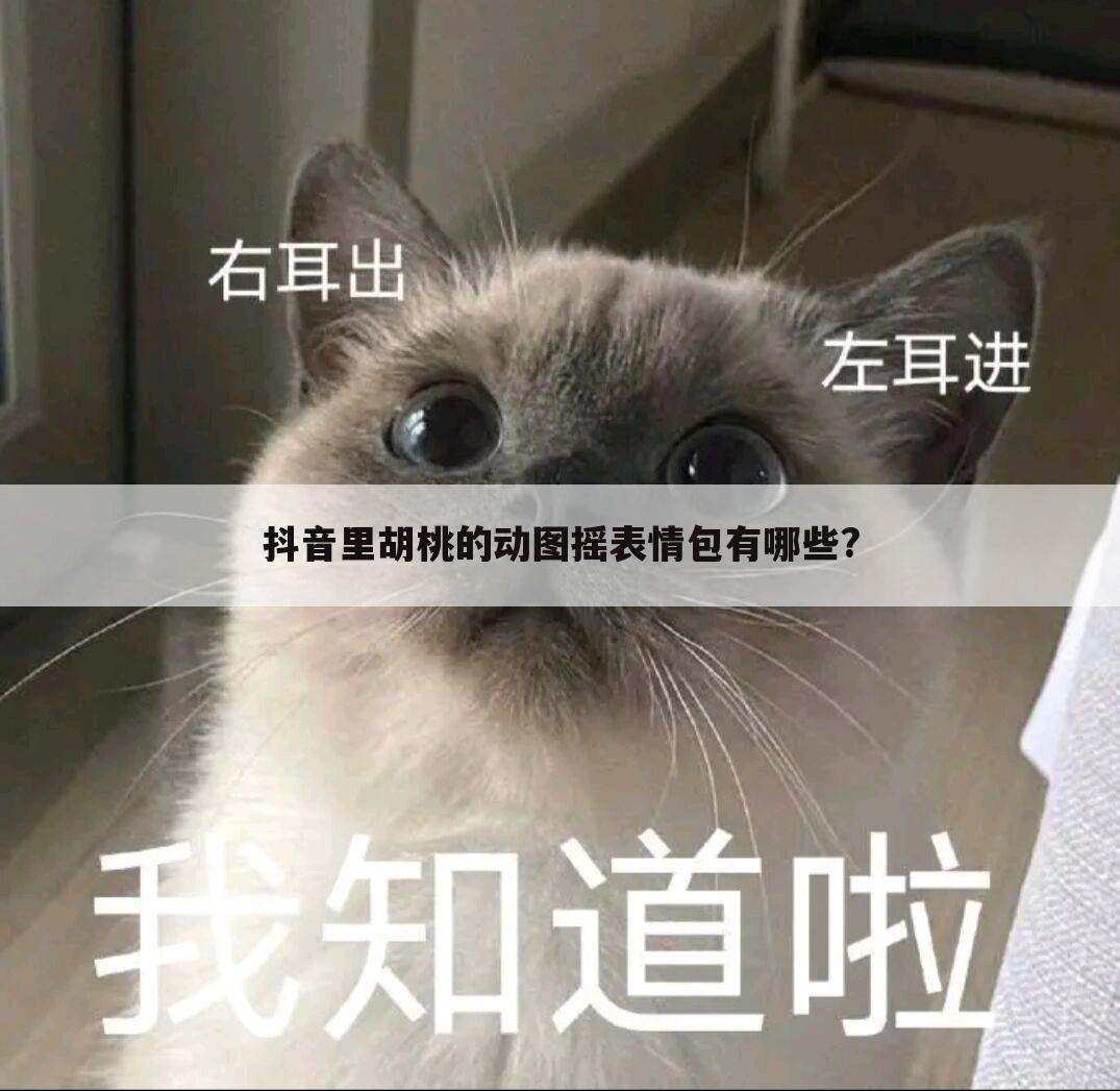抖音里胡桃的动图摇表情包有哪些?