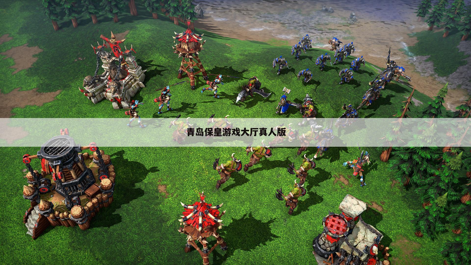 青岛保皇游戏大厅真人版