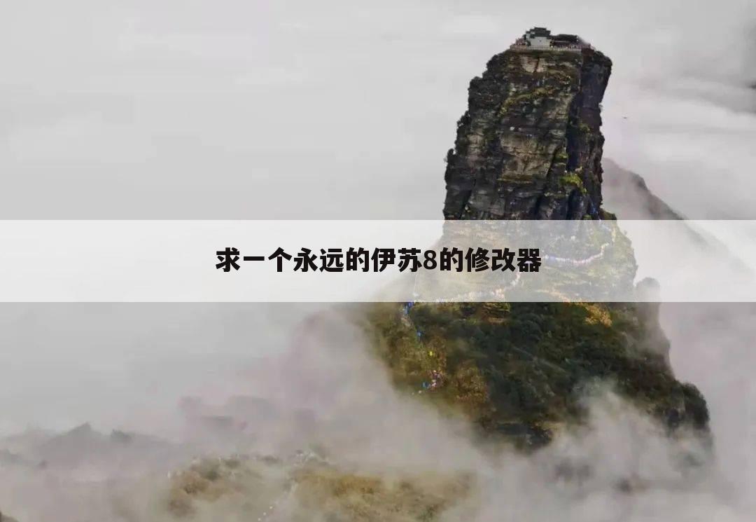 求一个永远的伊苏8的修改器