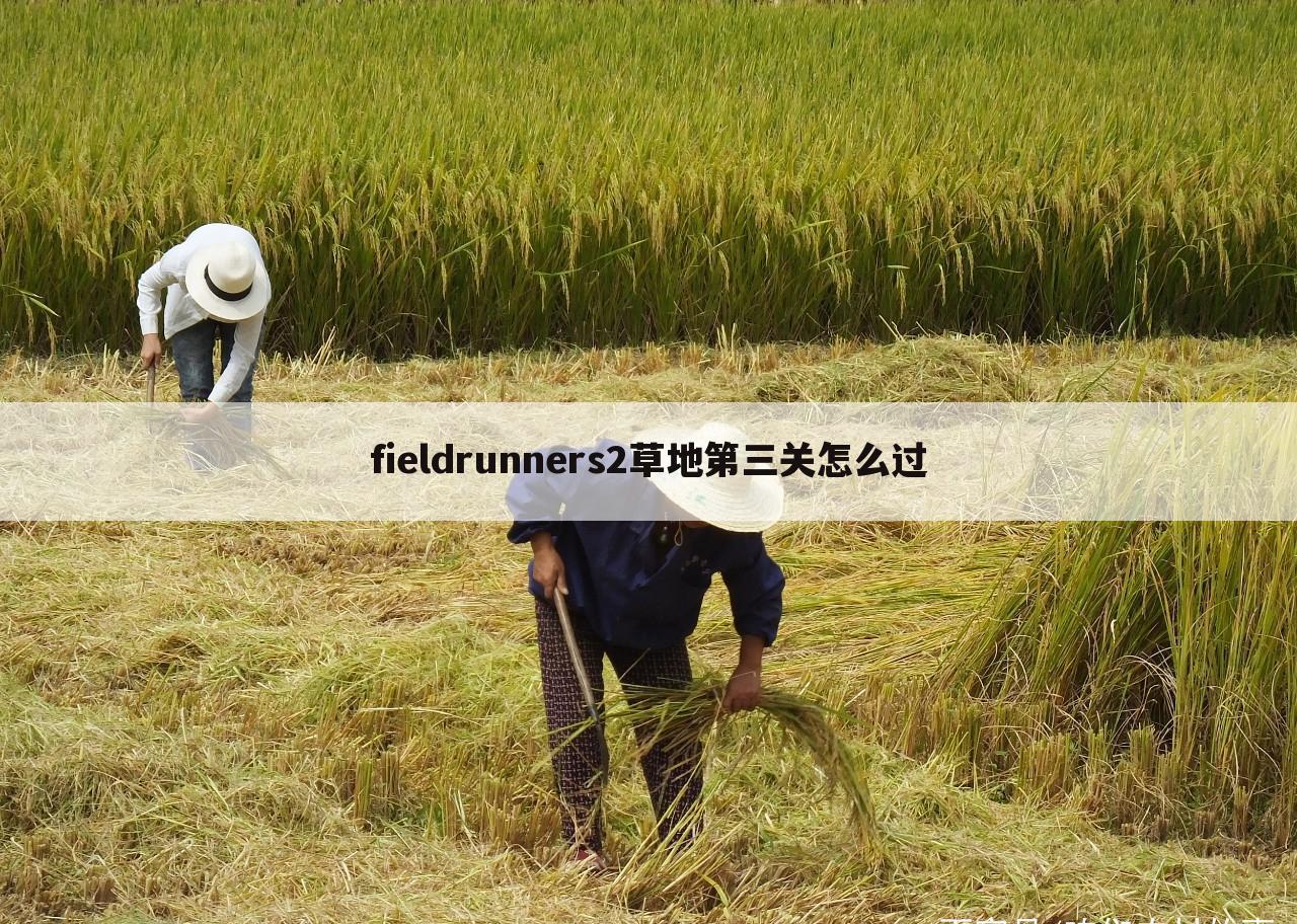fieldrunners2草地第三关怎么过