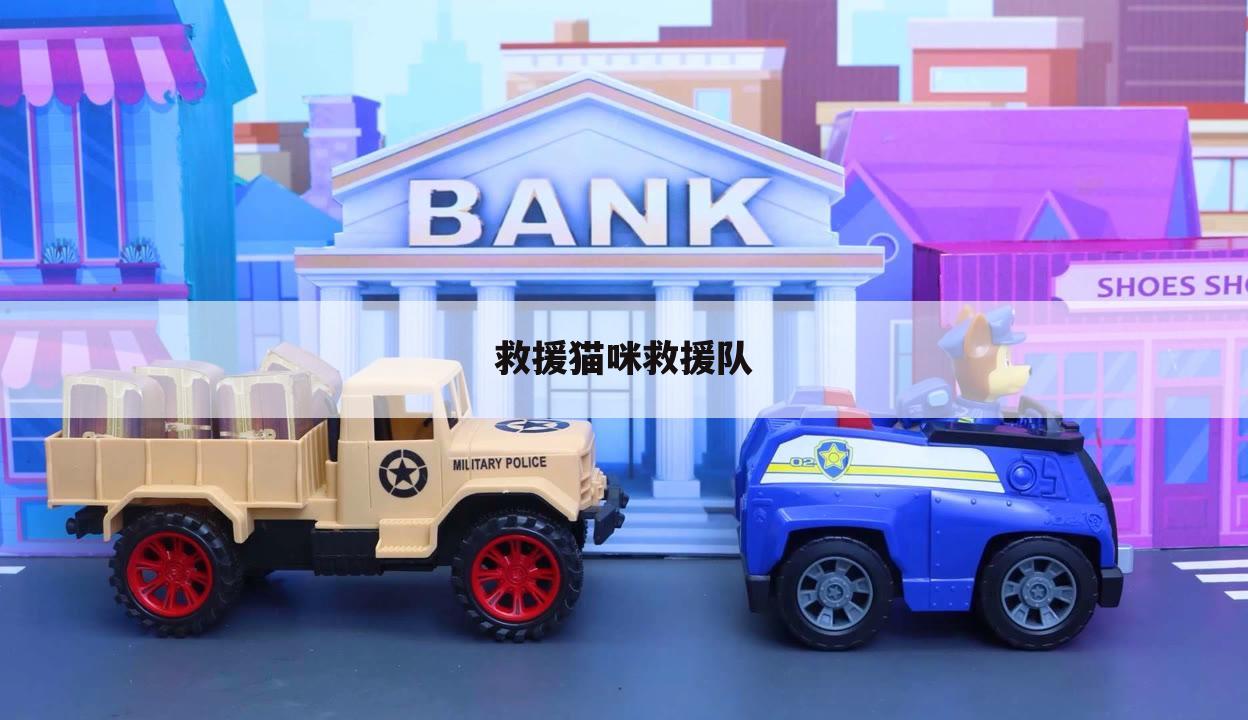 救援猫咪救援队