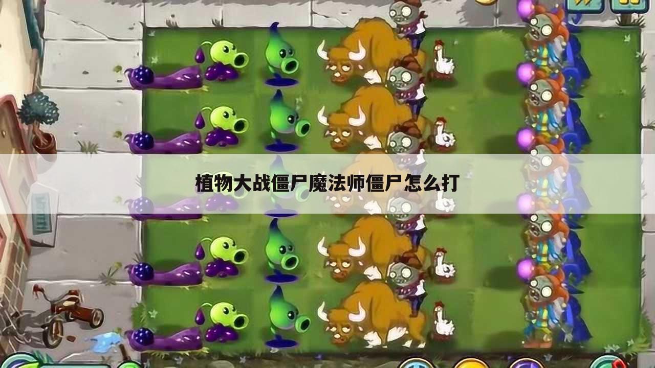 植物大战僵尸魔法师僵尸怎么打