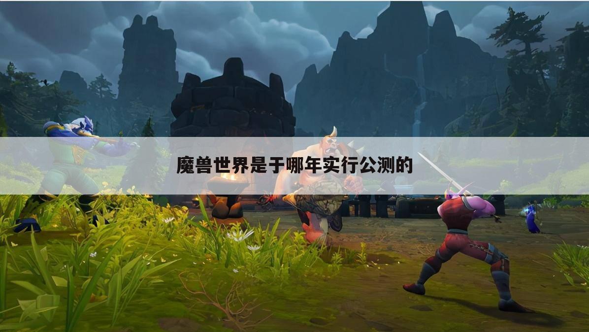 魔兽世界是于哪年实行公测的