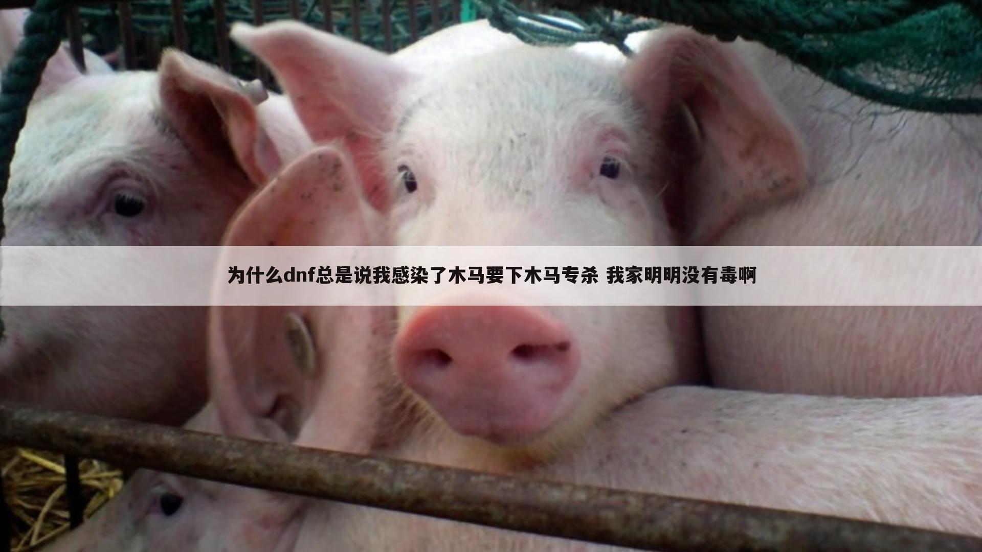 为什么dnf总是说我感染了木马要下木马专杀 我家明明没有毒啊