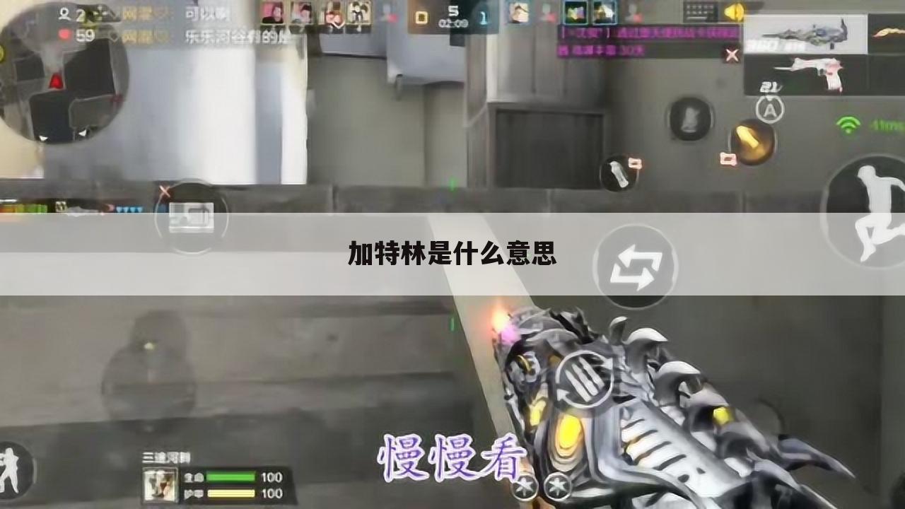 加特林是什么意思