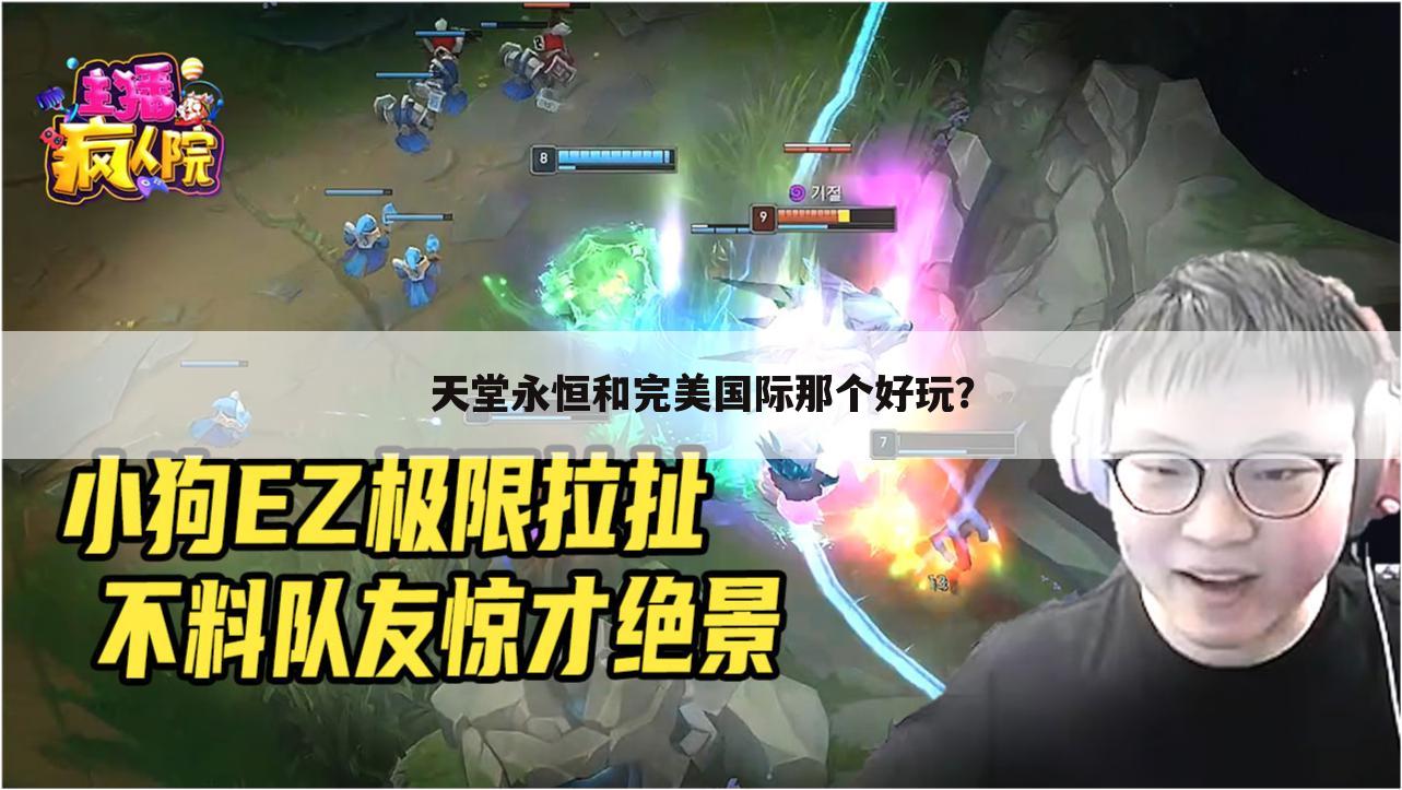 天堂永恒和完美国际那个好玩?
