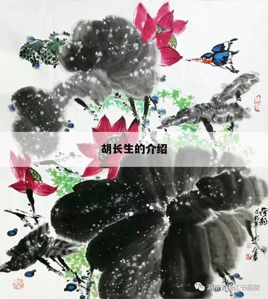 胡长生的介绍
