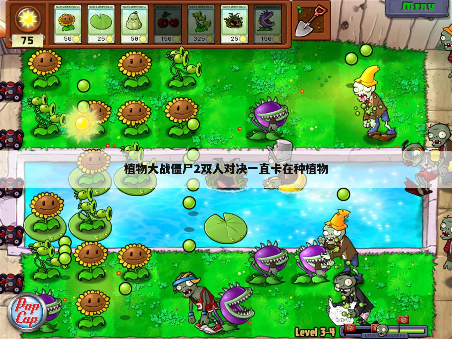 植物大战僵尸2双人对决一直卡在种植物