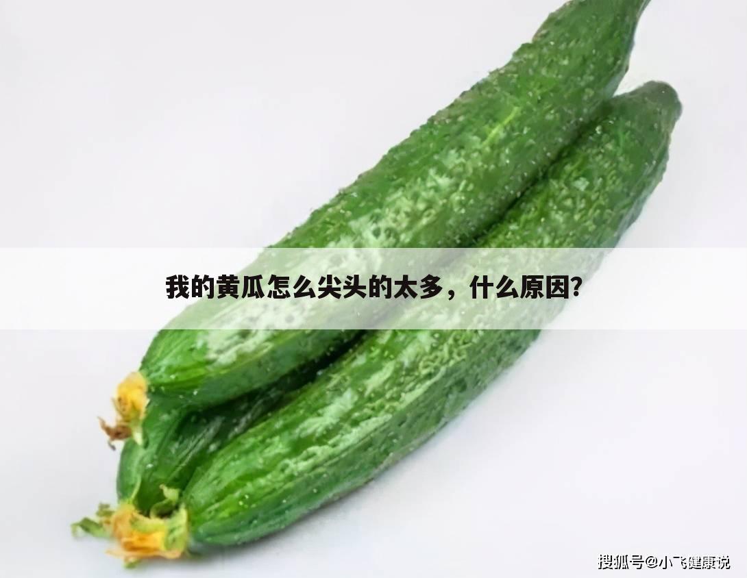 我的黄瓜怎么尖头的太多,什么原因?