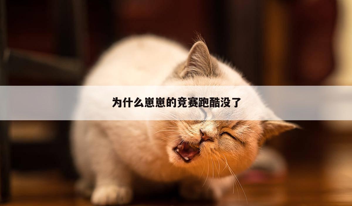为什么崽崽的竞赛跑酷没了