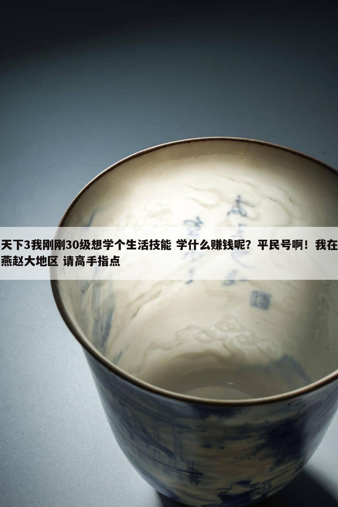 天下3我刚刚30级想学个生活技能 学什么赚钱呢？平民号啊！我在燕赵大地区 请高手指点