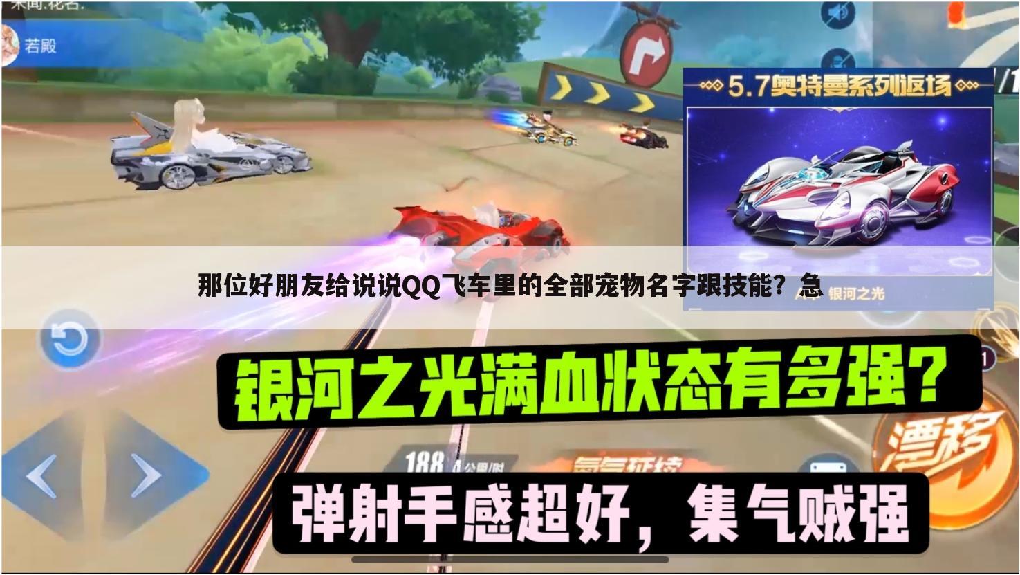 那位好朋友给说说QQ飞车里的全部宠物名字跟技能?急