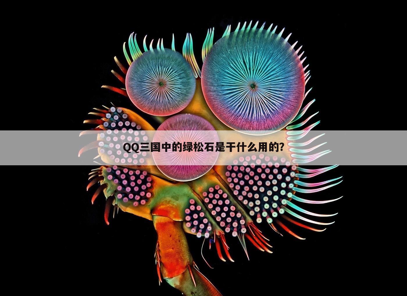 QQ三国中的绿松石是干什么用的？