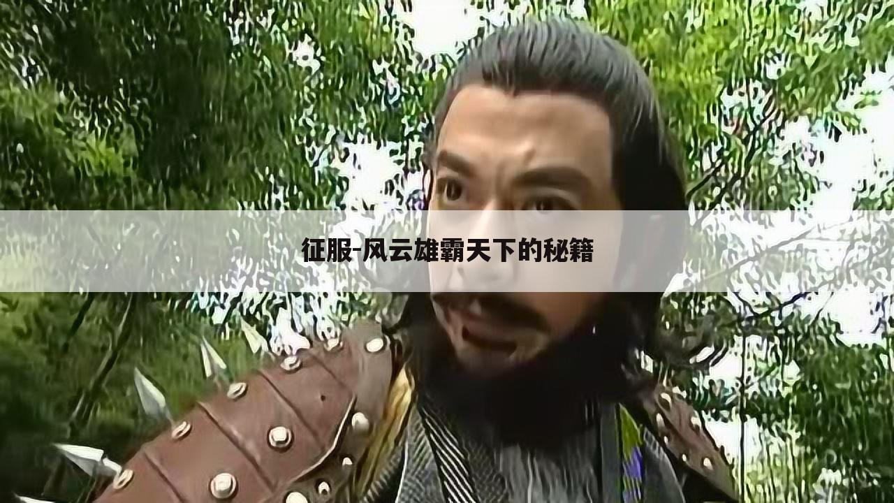征服-风云雄霸天下的秘籍
