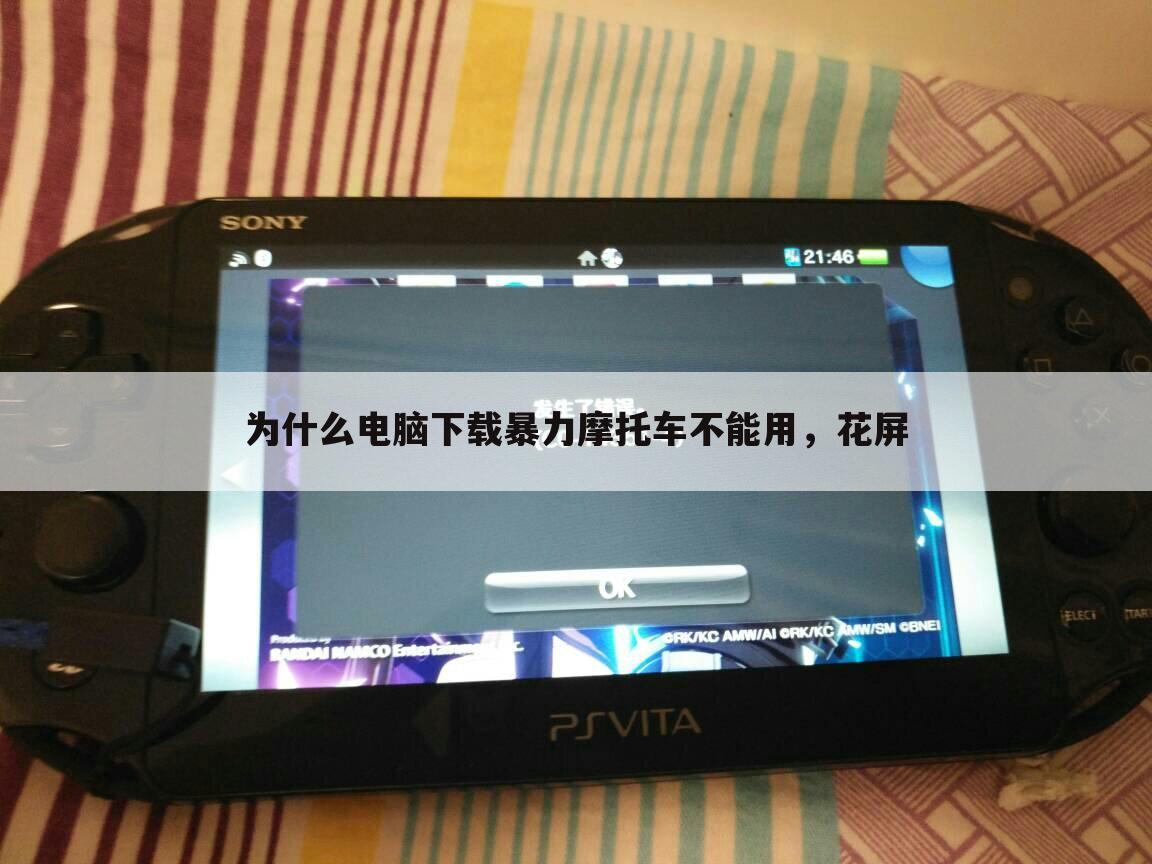 为什么电脑下载暴力摩托车不能用,花屏