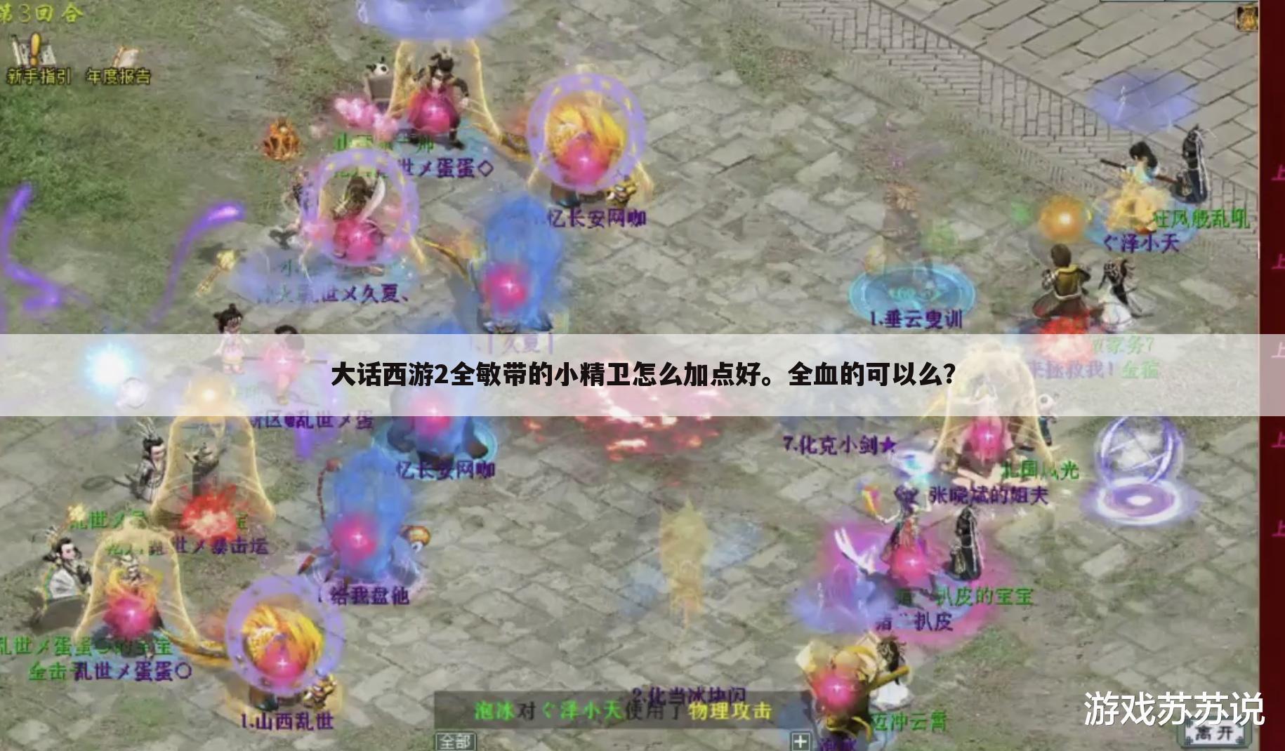 大话西游2全敏带的小精卫怎么加点好。全血的可以么?