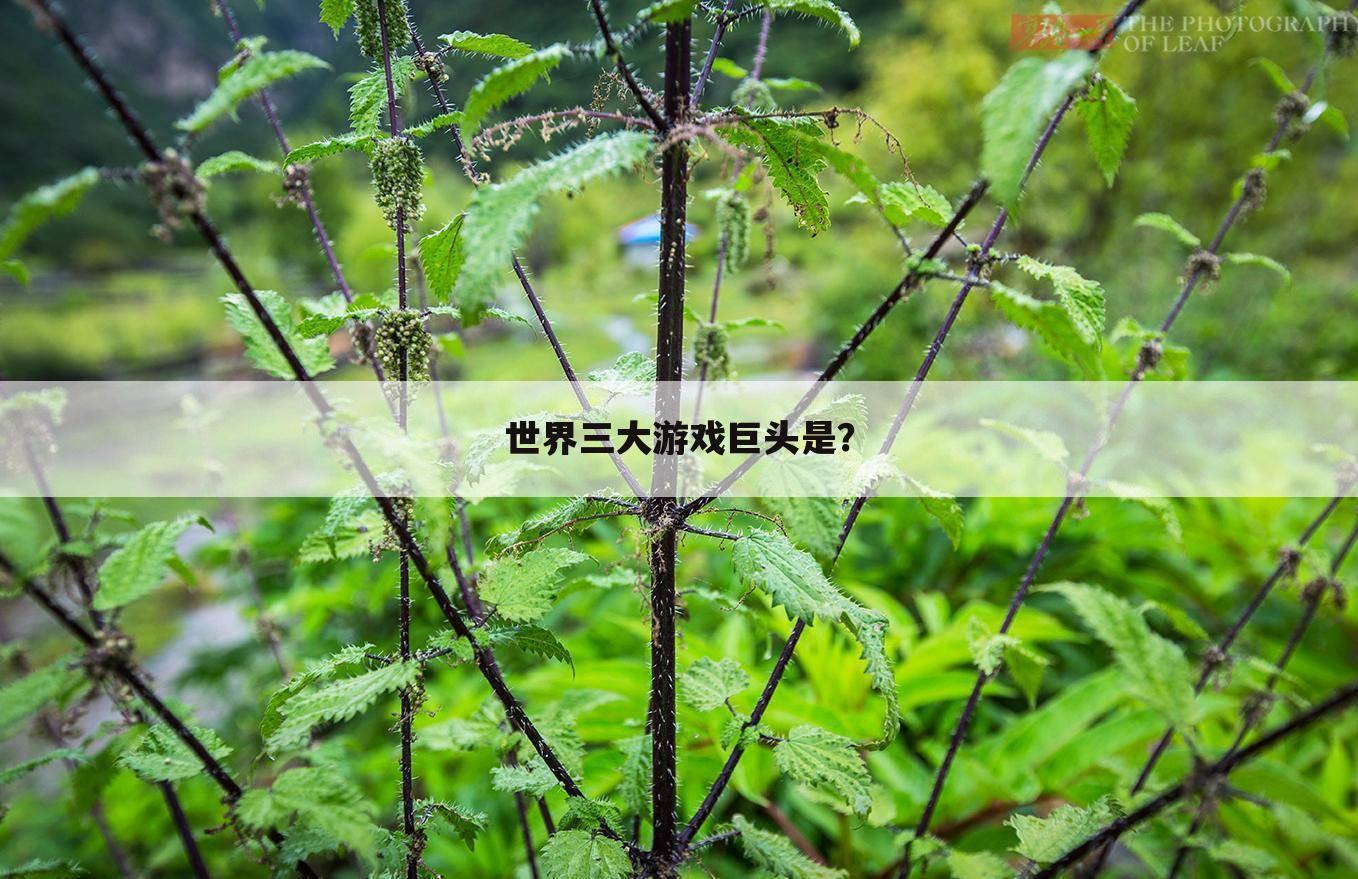 世界三大游戏巨头是？