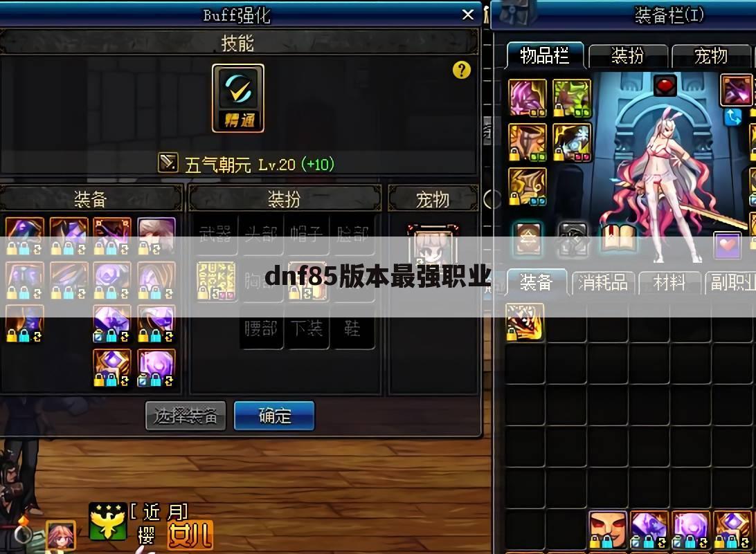 dnf85版本最强职业