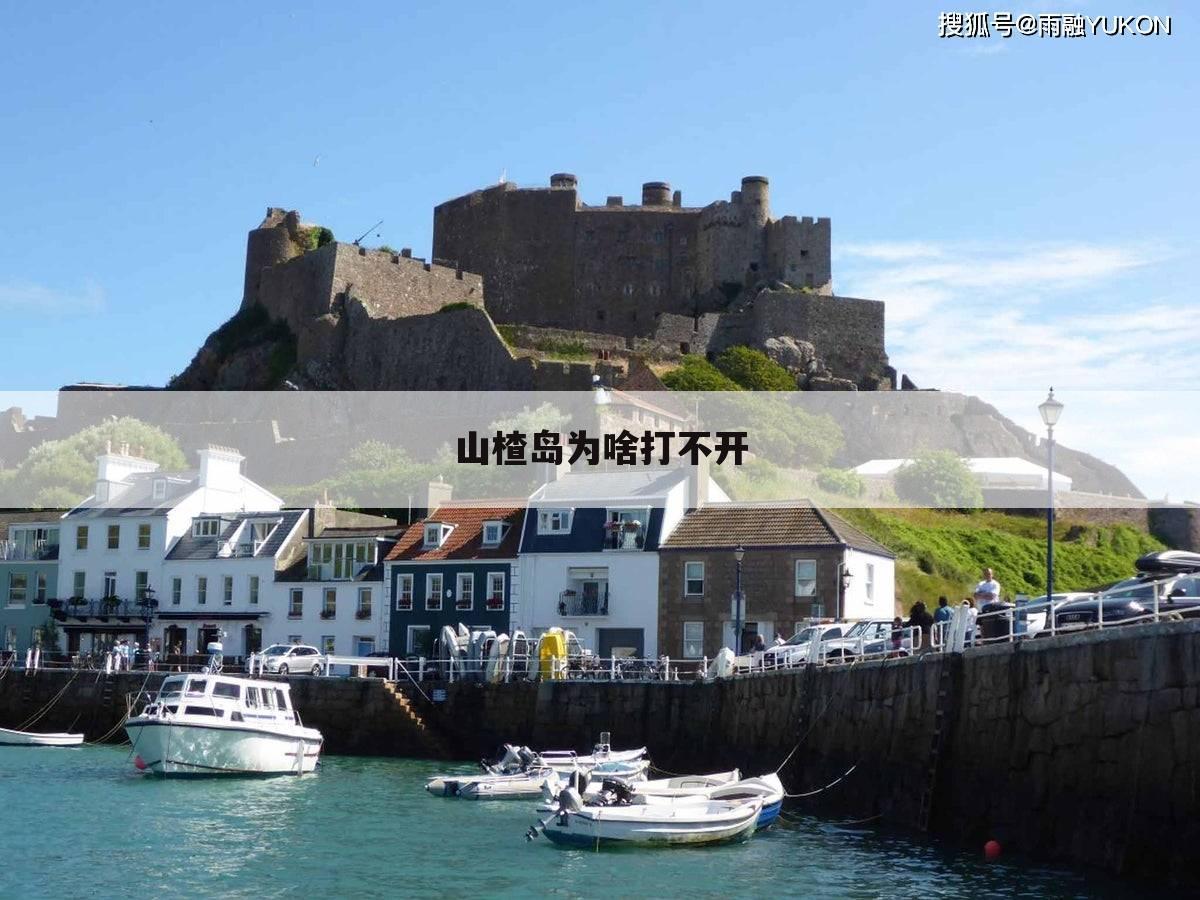 山楂岛为啥打不开