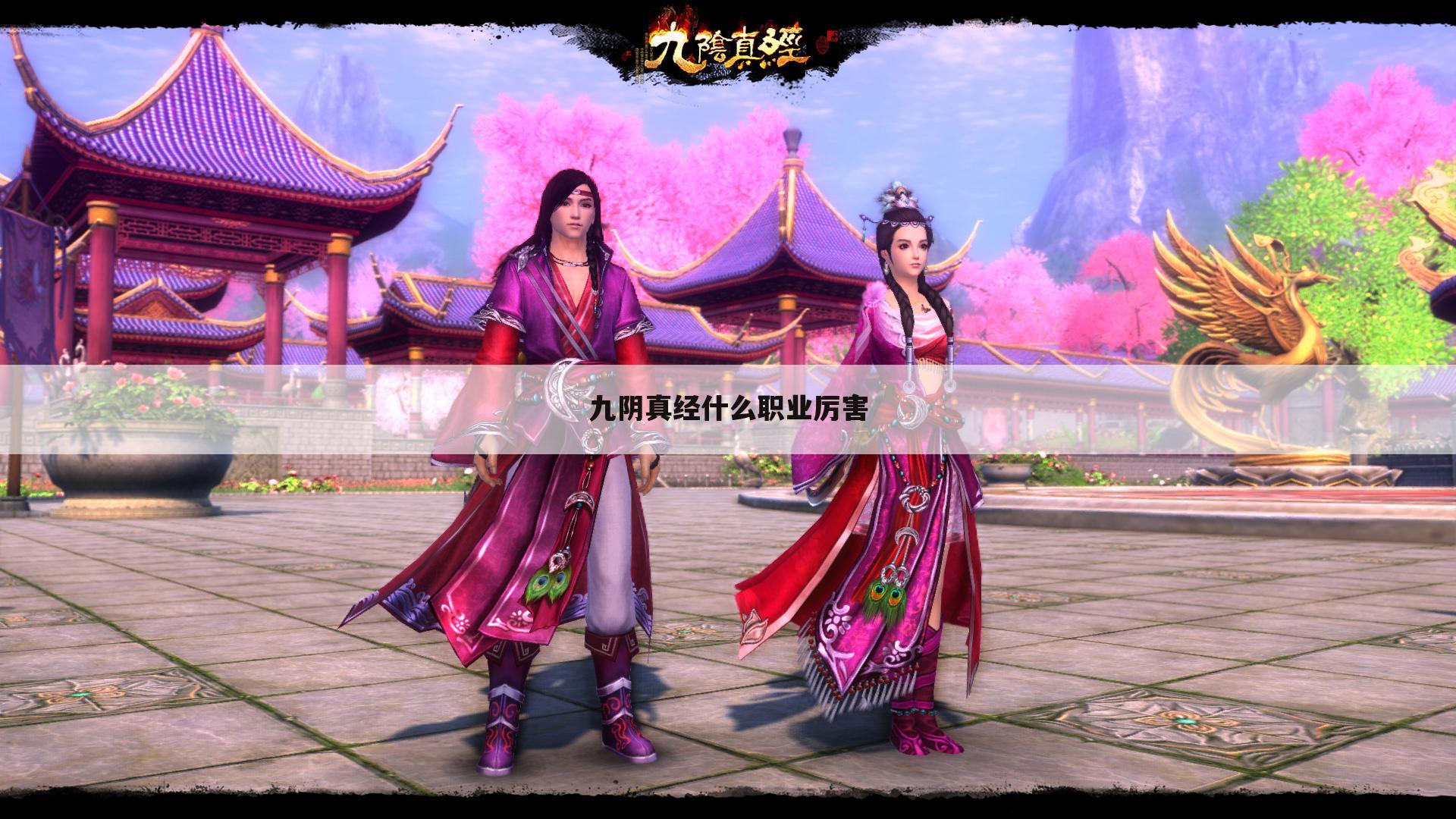九阴真经什么职业厉害