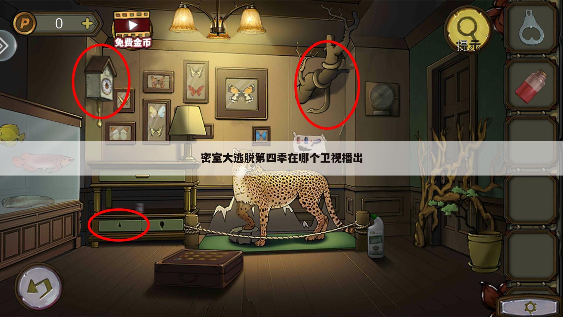 密室大逃脱第四季在哪个卫视播出