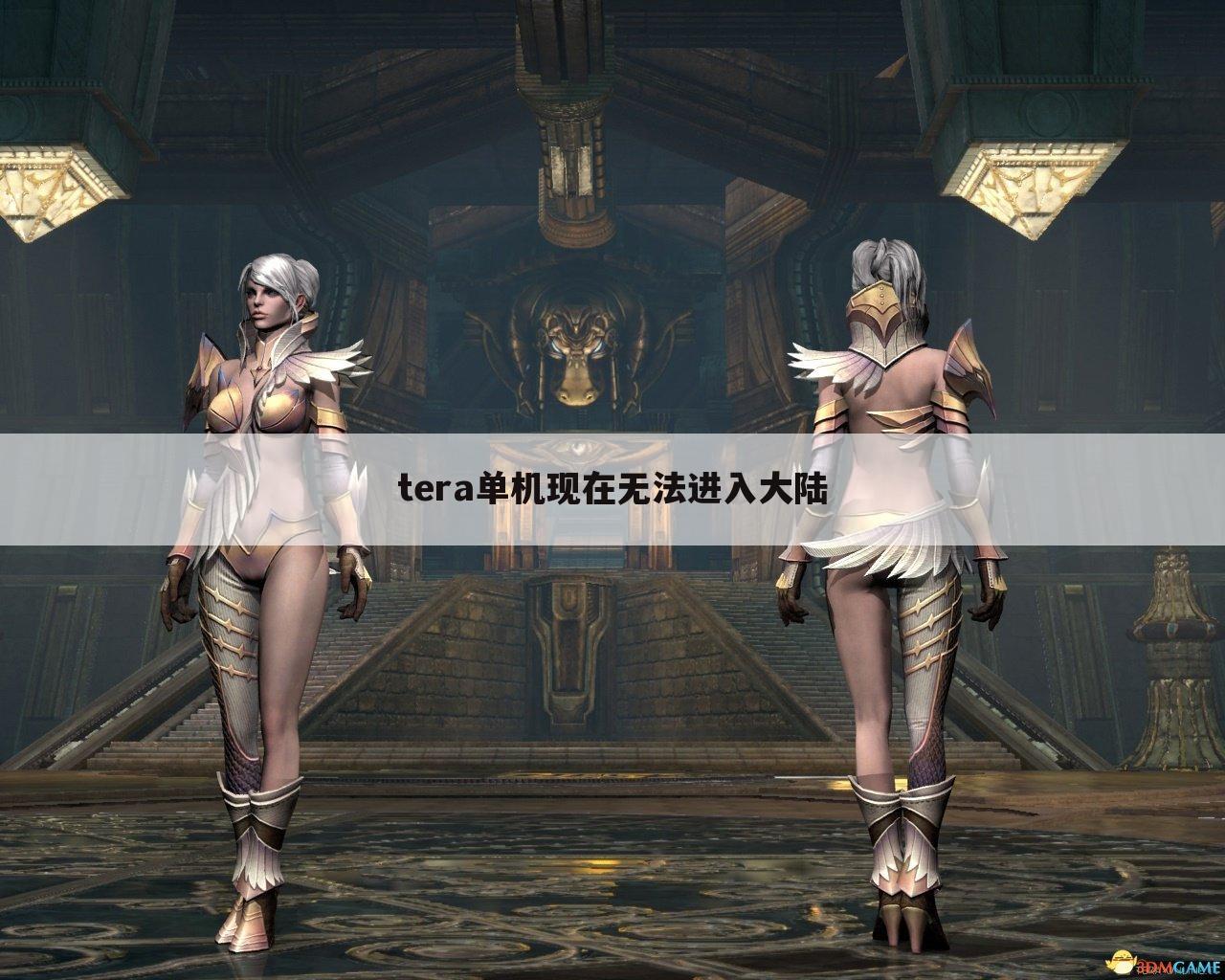 tera单机现在无法进入大陆