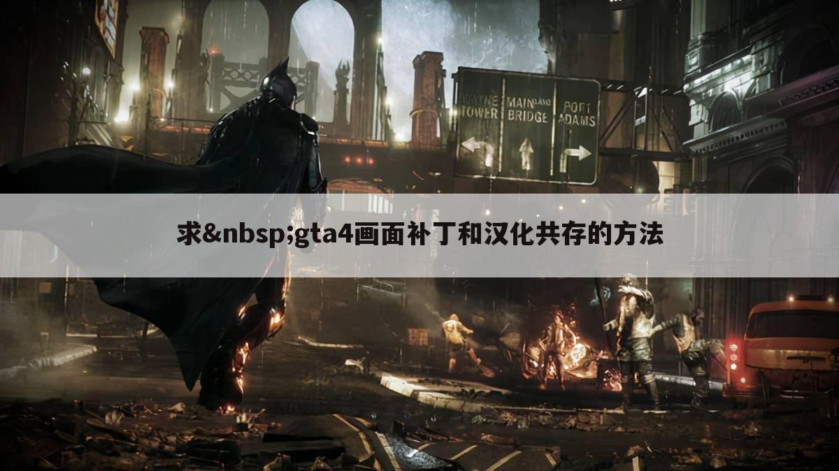 求 gta4画面补丁和汉化共存的方法