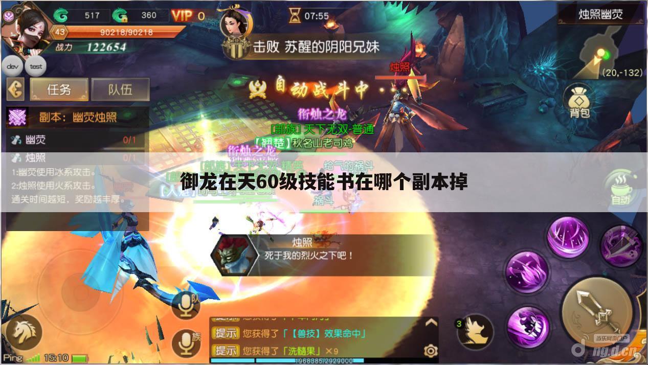 御龙在天60级技能书在哪个副本掉