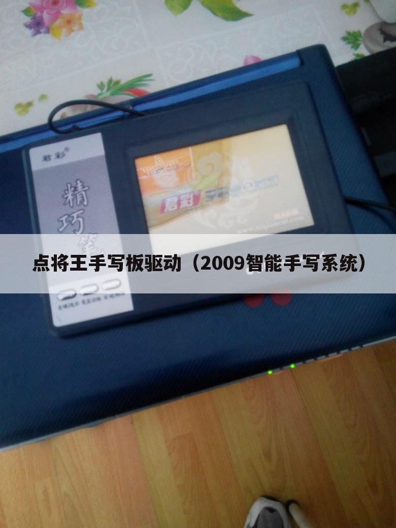 点将王手写板驱动(2009智能手写系统)