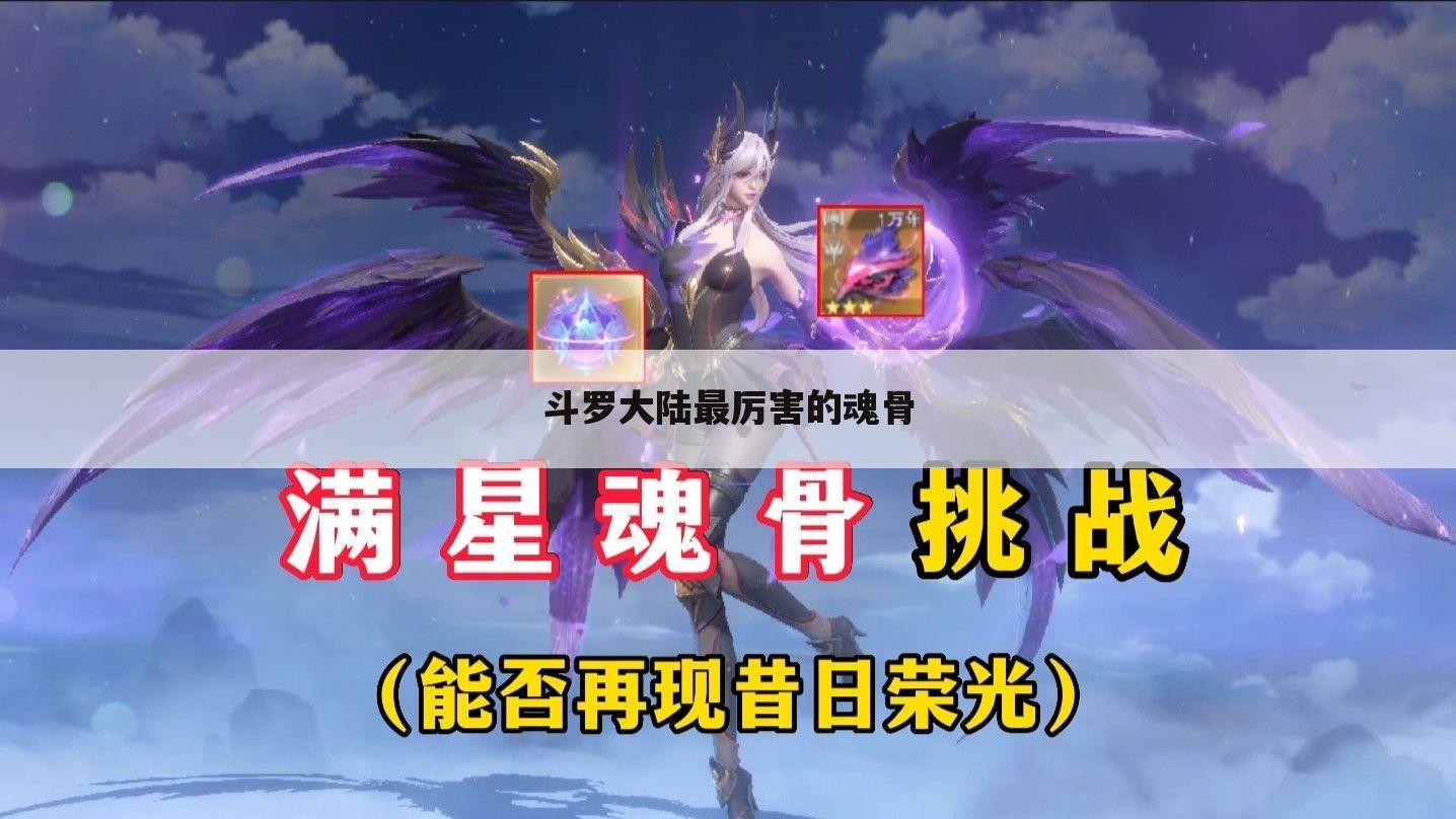 斗罗大陆最厉害的魂骨
