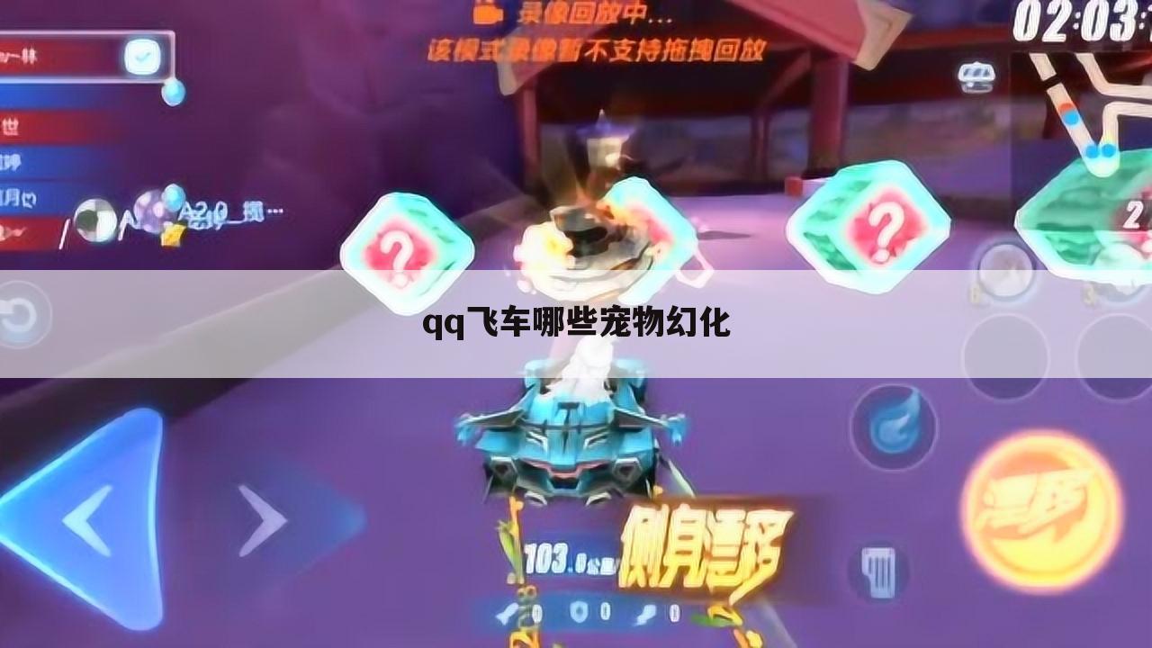 qq飞车哪些宠物幻化