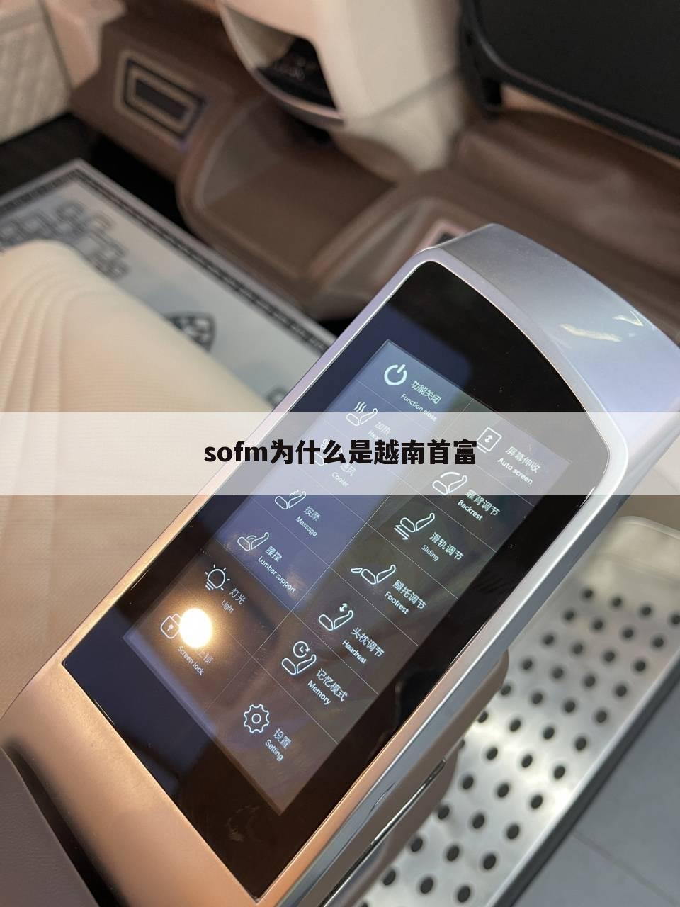 sofm为什么是越南首富
