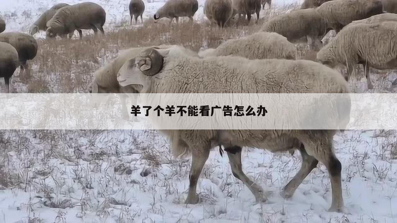 羊了个羊不能看广告怎么办