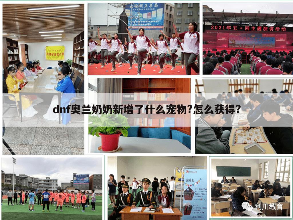 dnf奥兰奶奶新增了什么宠物?怎么获得?