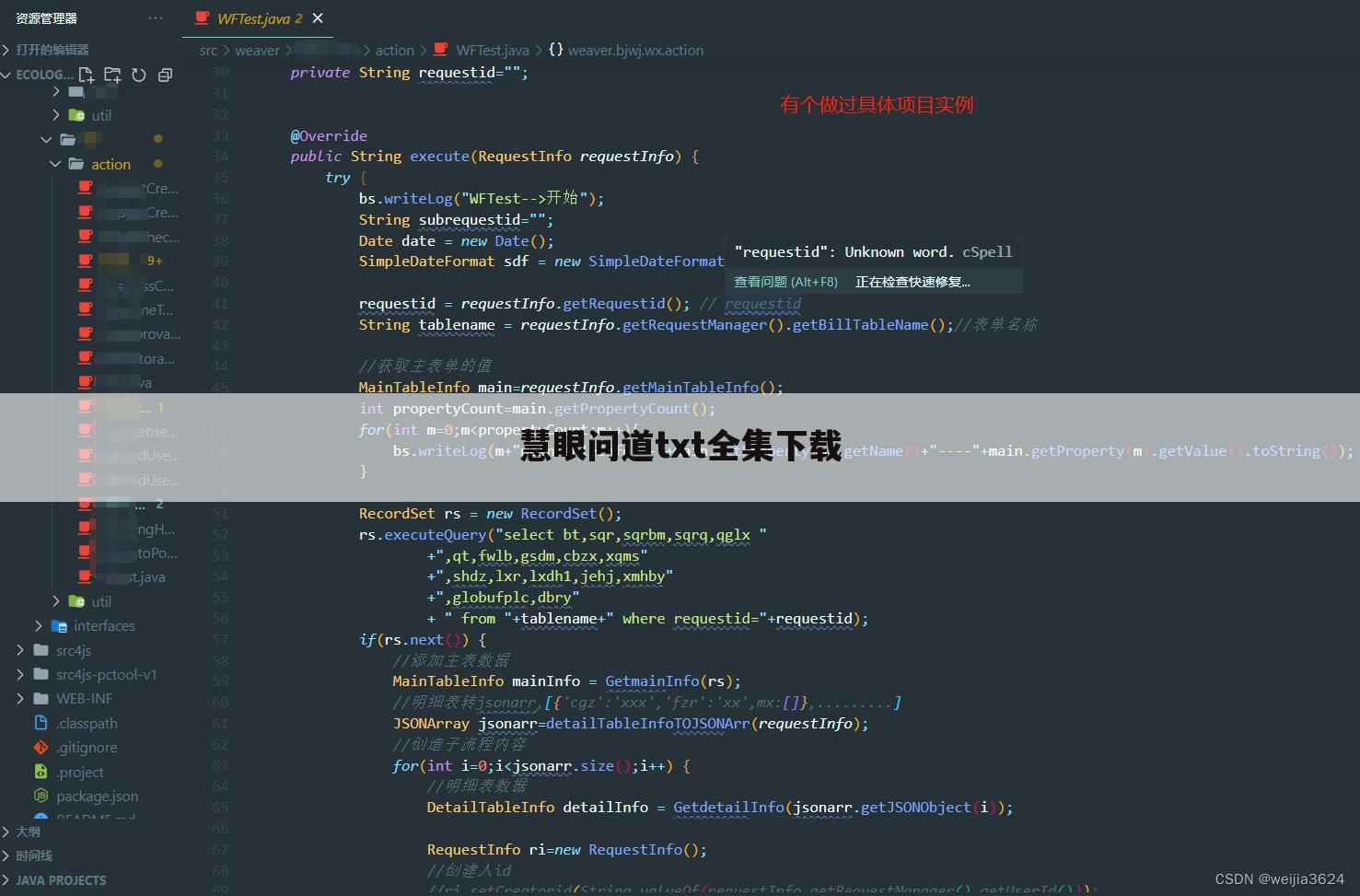 慧眼问道txt全集下载