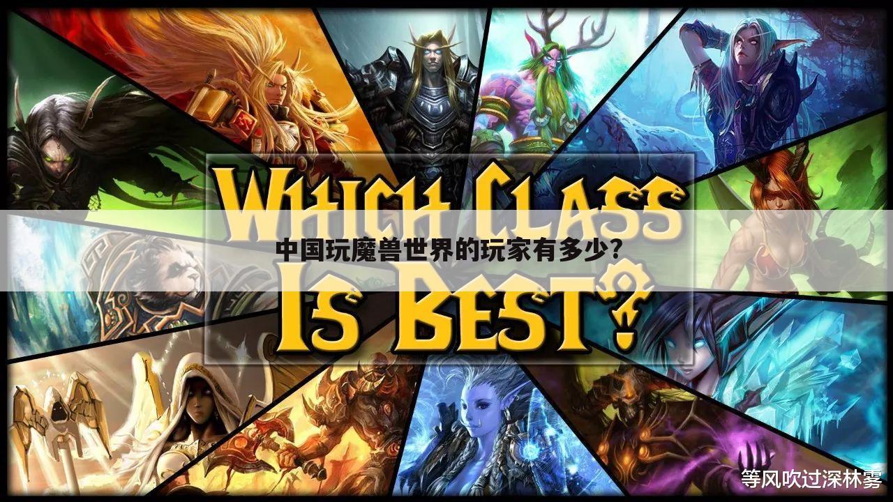 中国玩魔兽世界的玩家有多少?