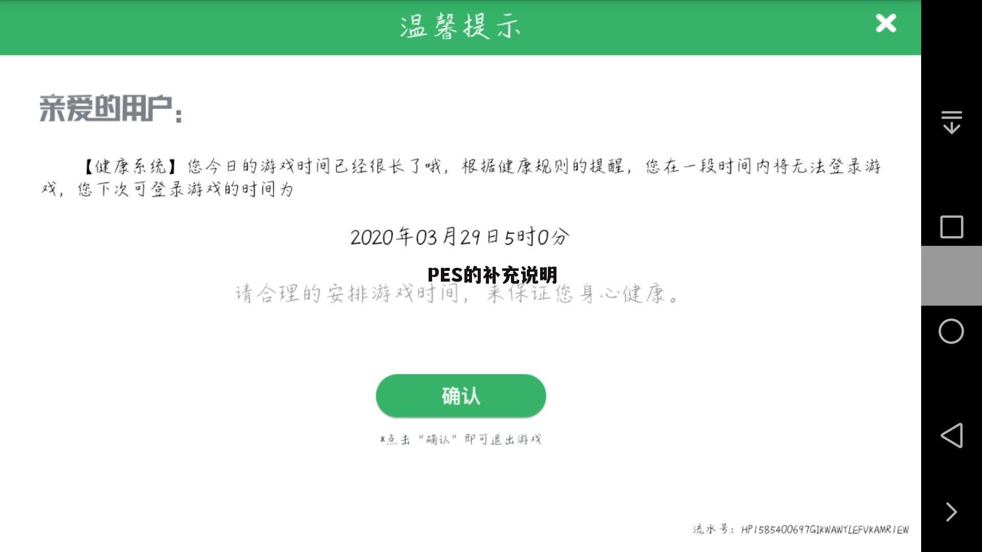 PES的补充说明