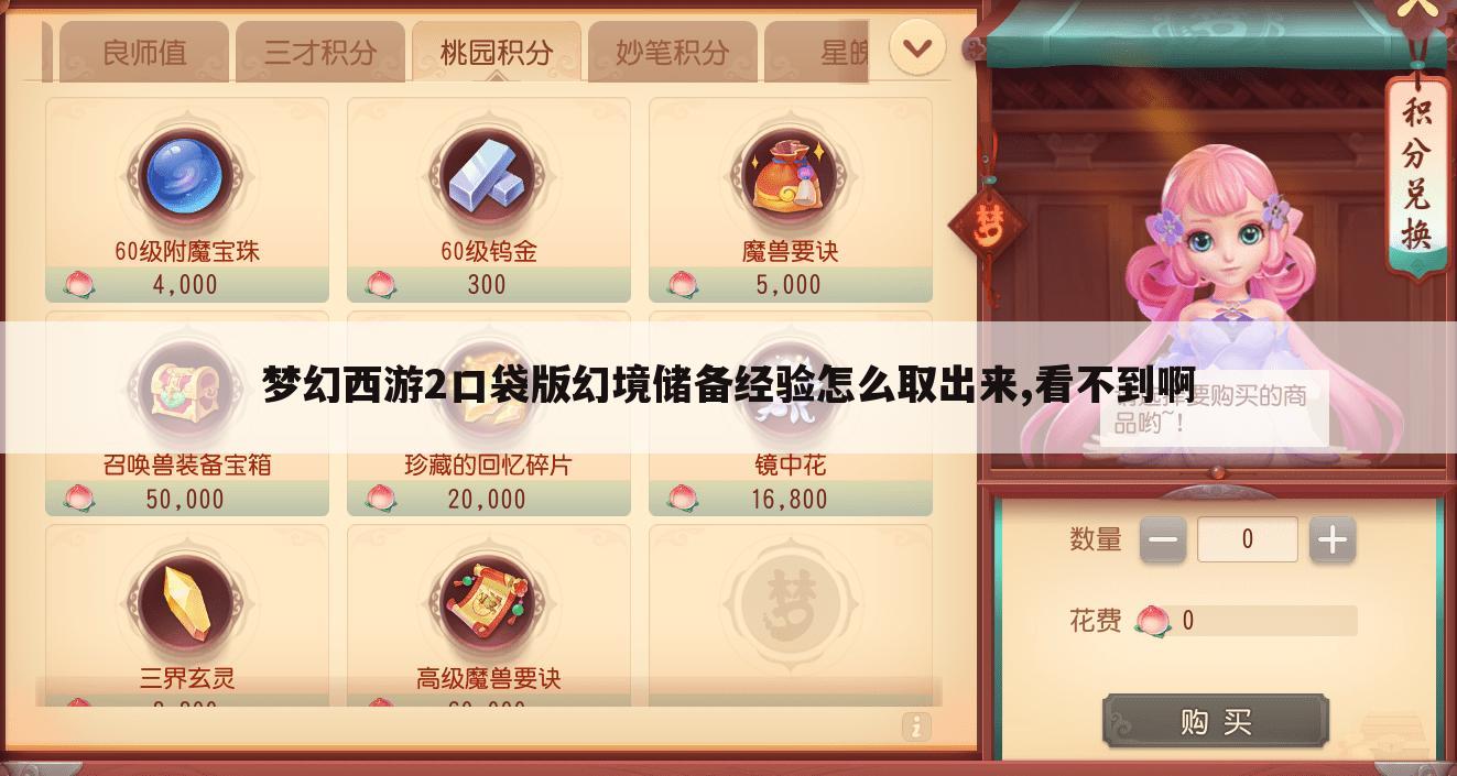 梦幻西游2口袋版幻境储备经验怎么取出来,看不到啊