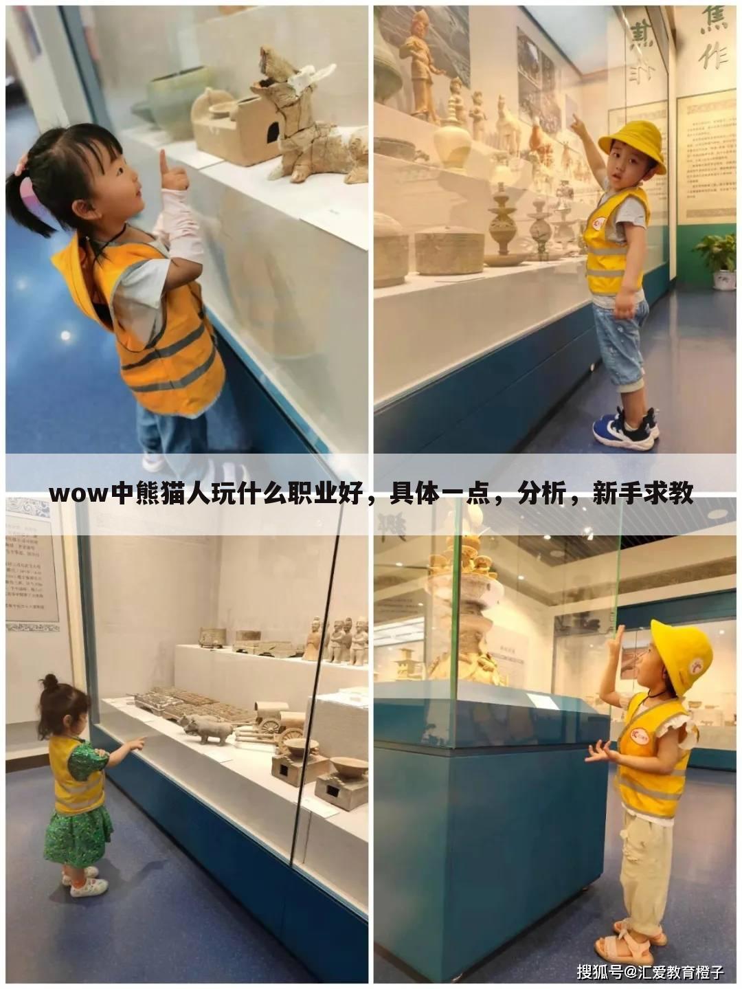 wow中熊猫人玩什么职业好,具体一点,分析,新手求教