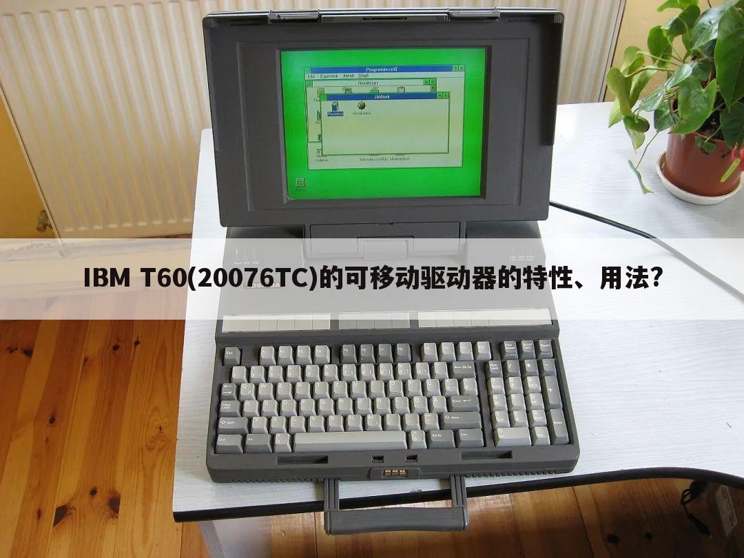 IBM T60(20076TC)的可移动驱动器的特性、用法?